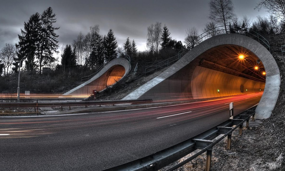 Ninghai Poda Electrical Appliance Co., Ltd.