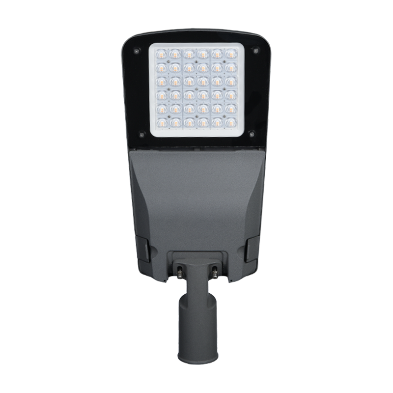 Farola de aluminio fundido impermeable de alta calidad PY-LED519-100W