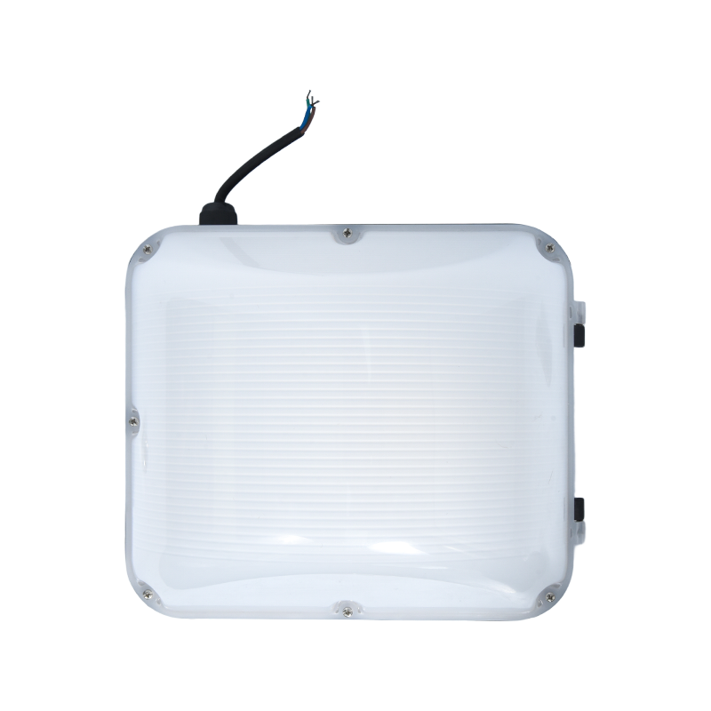 Py-LED9010 Luces de pared respetuosas con el medio ambiente para exteriores